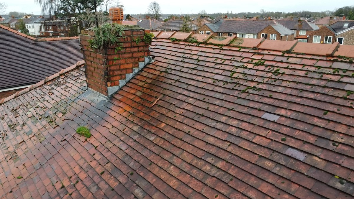 Brick chimney stack before repointing, with plants rooted in the eroded mortar and moss spreading across the clay tiles below