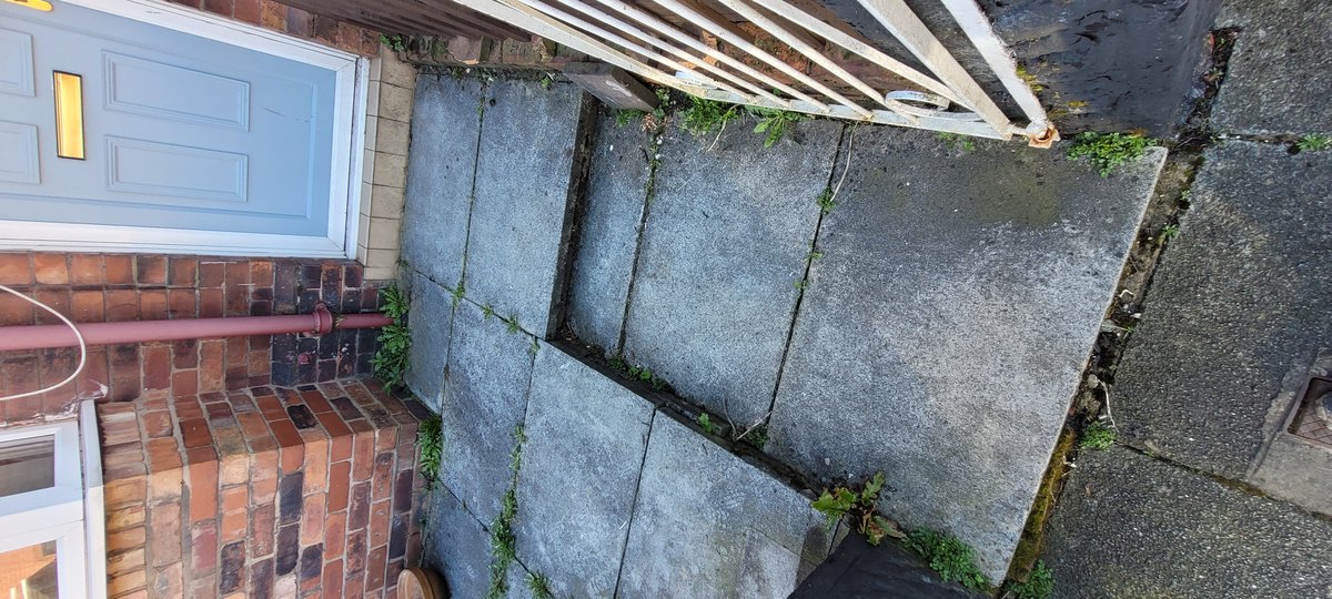 Front path flags in Eccleston before repointing, with weeds growing up through every joint