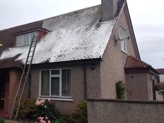 Roof being soft washed from a ladder